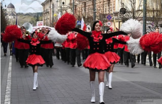 IN SUPPORT OF THE POLISH AMBASSADOR TO IRELAND by Stefan Komar